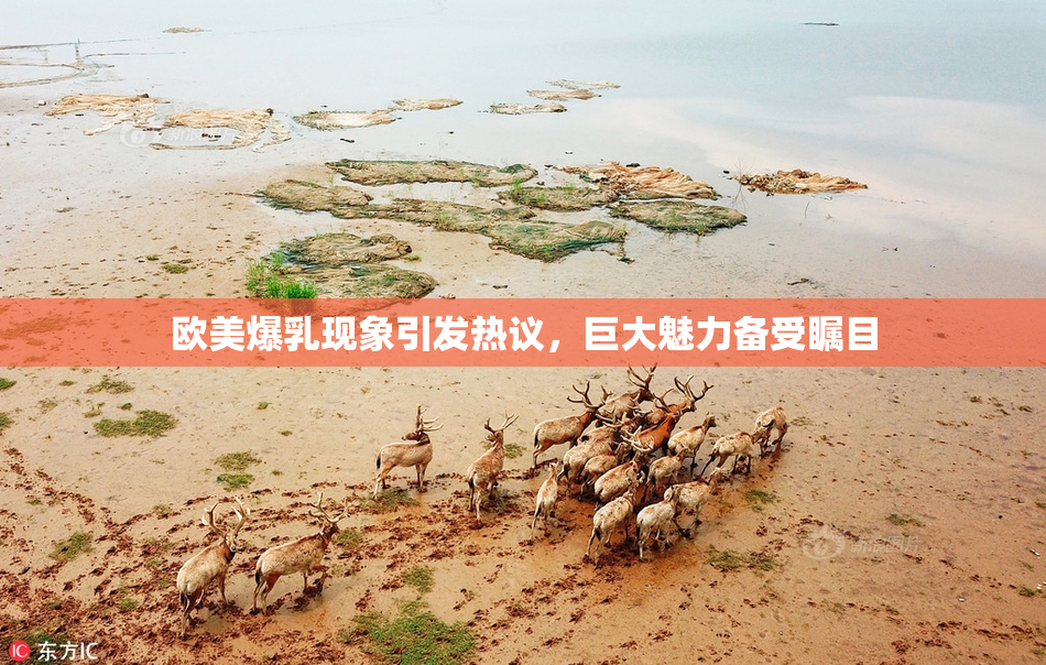 欧美爆乳现象引发热议，巨大魅力备受瞩目