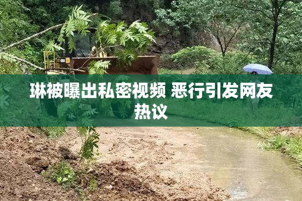 琳被曝出私密视频 恶行引发网友热议