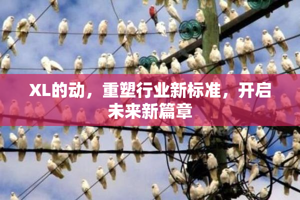 XL的动，重塑行业新标准，开启未来新篇章