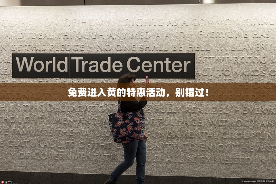 免费进入黄的特惠活动，别错过！