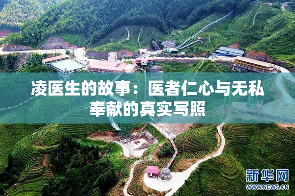 凌医生的故事：医者仁心与无私奉献的真实写照