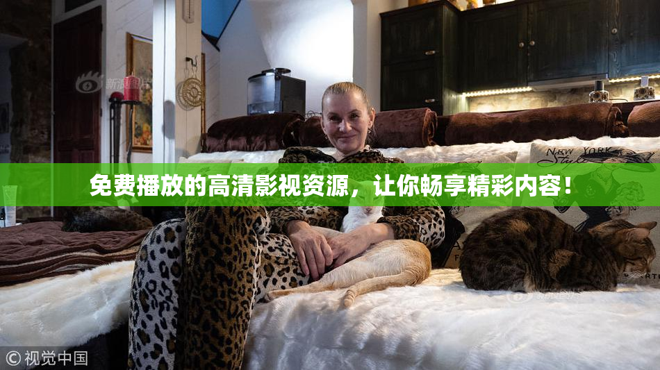 免费播放的高清影视资源，让你畅享精彩内容！
