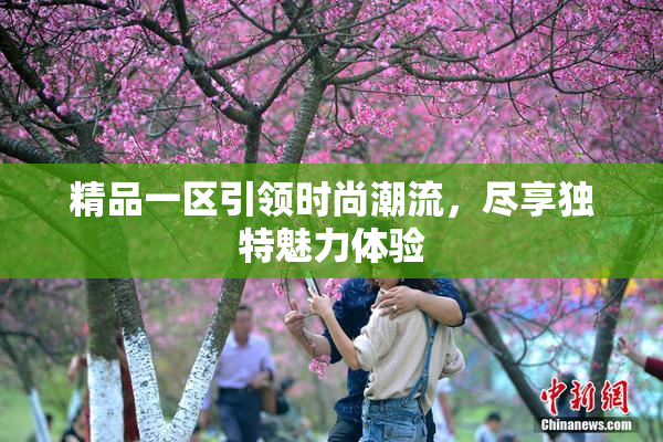 精品一区引领时尚潮流，尽享独特魅力体验