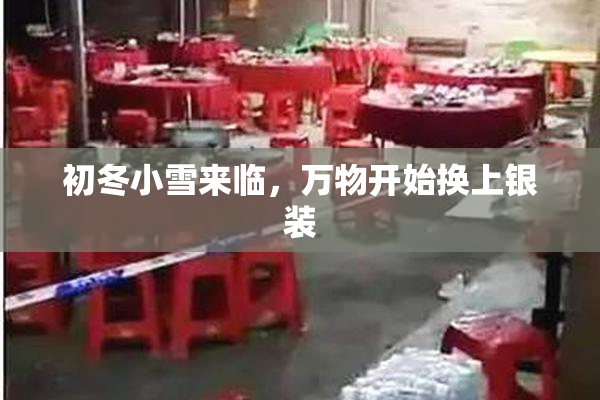 初冬小雪来临，万物开始换上银装