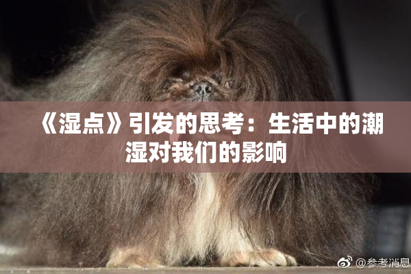 《湿点》引发的思考：生活中的潮湿对我们的影响