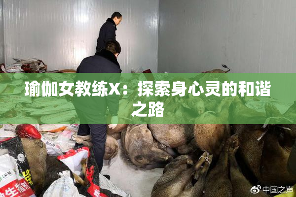 瑜伽女教练X：探索身心灵的和谐之路