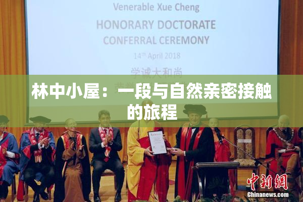 林中小屋：一段与自然亲密接触的旅程