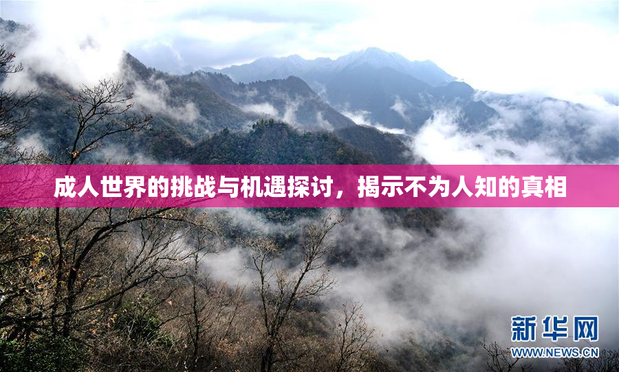 成人世界的挑战与机遇探讨，揭示不为人知的真相