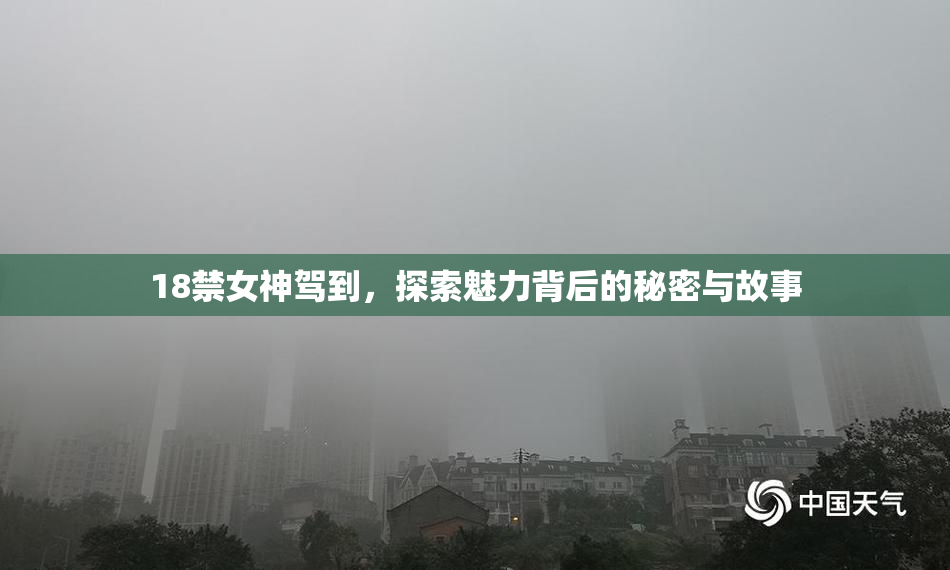 18禁女神驾到，探索魅力背后的秘密与故事