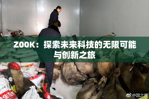 Z00K：探索未来科技的无限可能与创新之旅