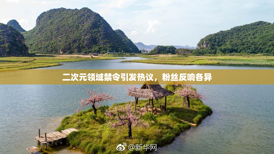 二次元领域禁令引发热议，粉丝反响各异
