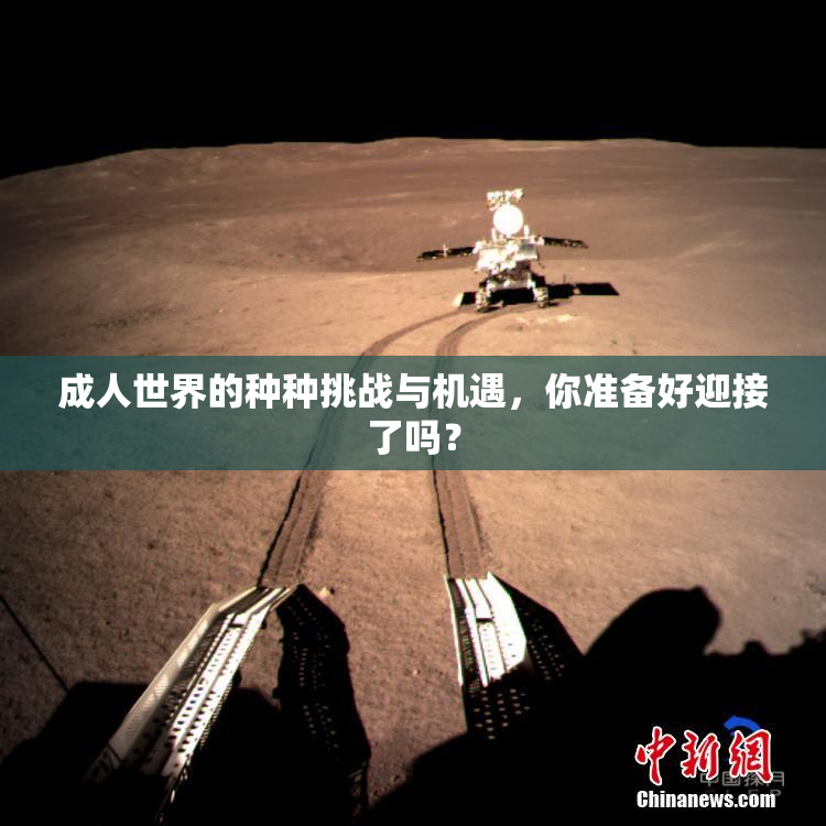 成人世界的种种挑战与机遇，你准备好迎接了吗？