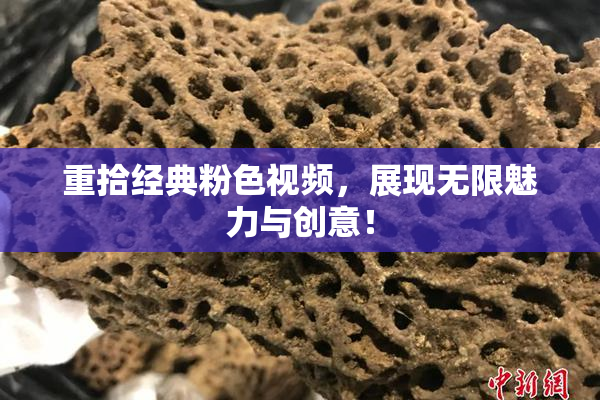 重拾经典粉色视频，展现无限魅力与创意！