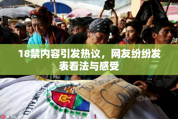 18禁内容引发热议，网友纷纷发表看法与感受