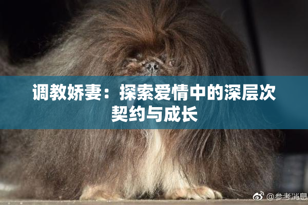 调教娇妻：探索爱情中的深层次契约与成长