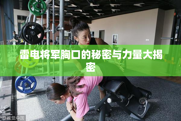 雷电将军胸口的秘密与力量大揭密
