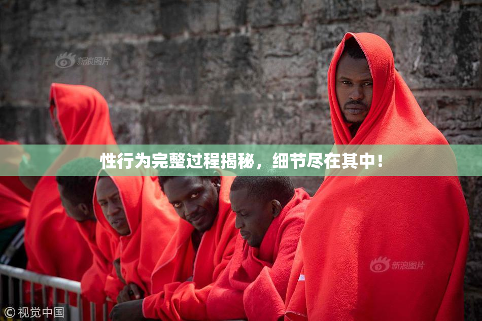 性行为完整过程揭秘，细节尽在其中！