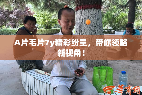 A片毛片7y精彩纷呈，带你领略新视角！