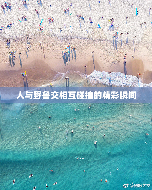 人与野鲁交相互碰撞的精彩瞬间