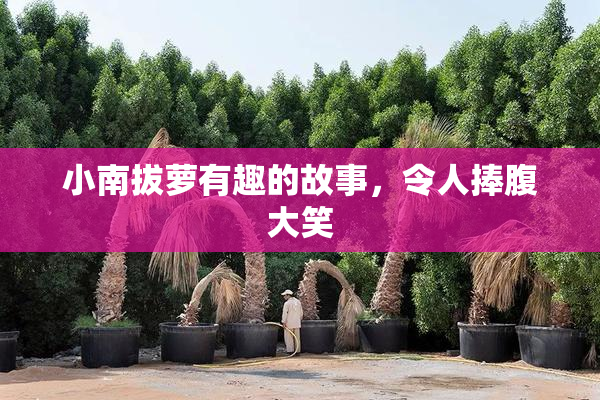 小南拔萝有趣的故事，令人捧腹大笑