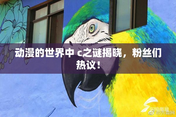 动漫的世界中 c之谜揭晓，粉丝们热议！