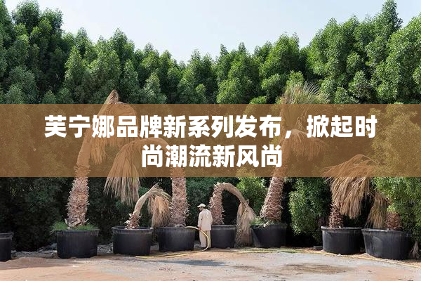芙宁娜品牌新系列发布，掀起时尚潮流新风尚