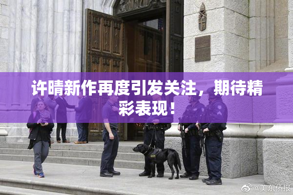 许晴新作再度引发关注，期待精彩表现！
