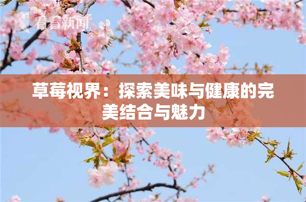 草莓视界：探索美味与健康的完美结合与魅力