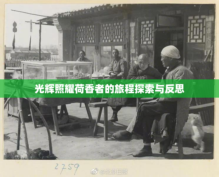 光辉照耀荷香者的旅程探索与反思