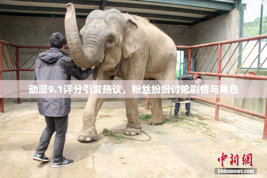 动漫9.1评分引发热议，粉丝纷纷讨论剧情与角色