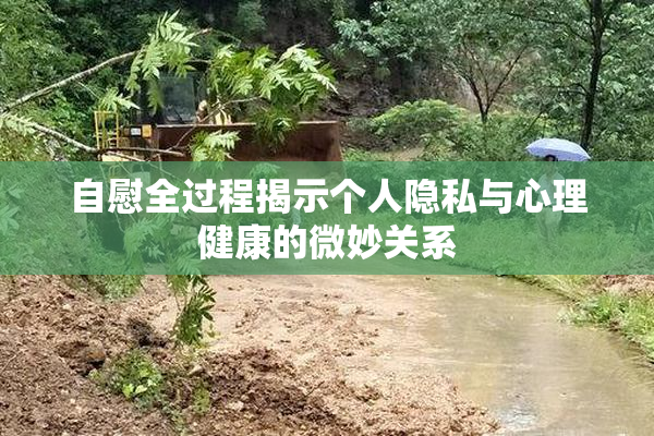 自慰全过程揭示个人隐私与心理健康的微妙关系