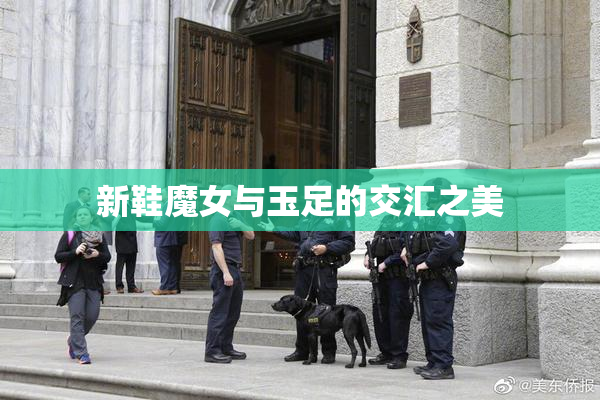 新鞋魔女与玉足的交汇之美