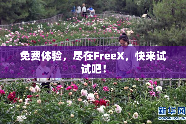 免费体验，尽在FreeX，快来试试吧！