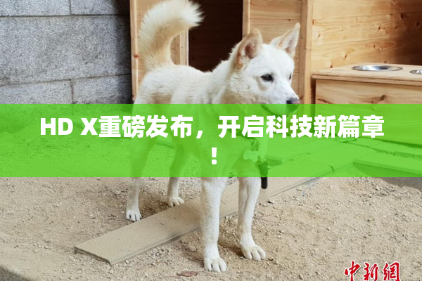 HD X重磅发布，开启科技新篇章！