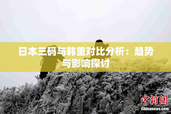日本三码与韩重对比分析：趋势与影响探讨