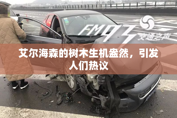 艾尔海森的树木生机盎然，引发人们热议