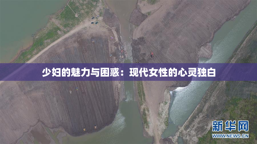 少妇的魅力与困惑：现代女性的心灵独白