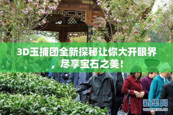 3D玉捕团全新探秘让你大开眼界，尽享宝石之美！