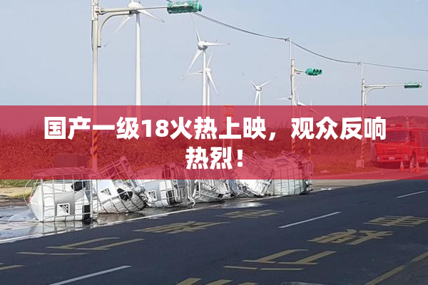 国产一级18火热上映，观众反响热烈！