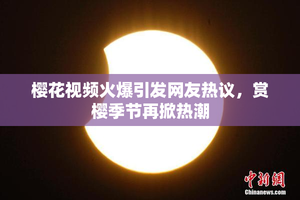 樱花视频火爆引发网友热议，赏樱季节再掀热潮