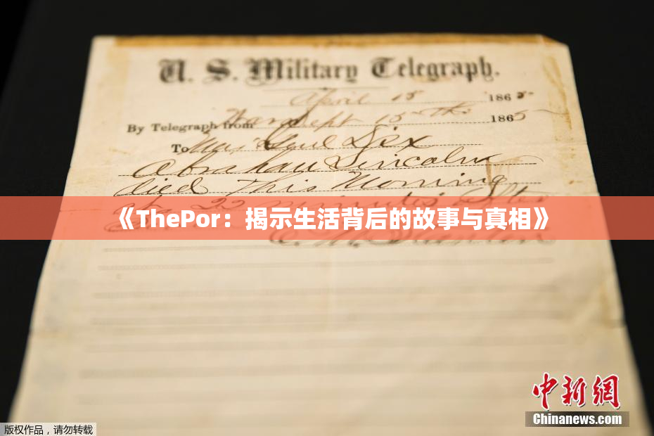 《ThePor：揭示生活背后的故事与真相》