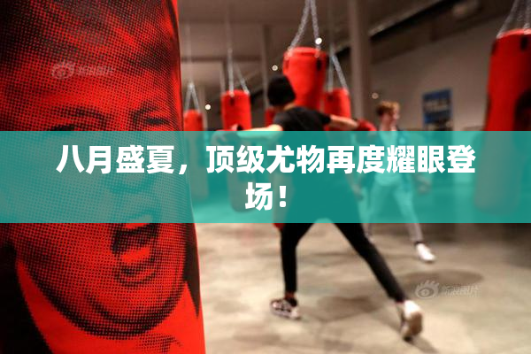 八月盛夏，顶级尤物再度耀眼登场！