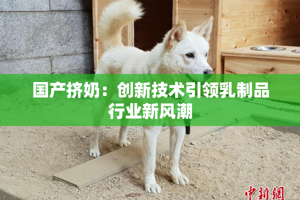 国产挤奶：创新技术引领乳制品行业新风潮