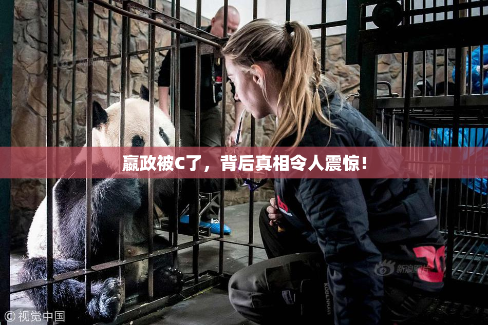 嬴政被C了，背后真相令人震惊！