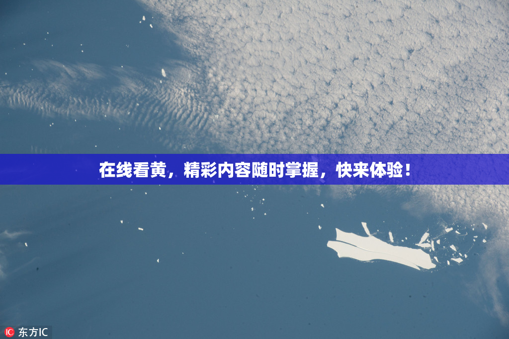 在线看黄，精彩内容随时掌握，快来体验！