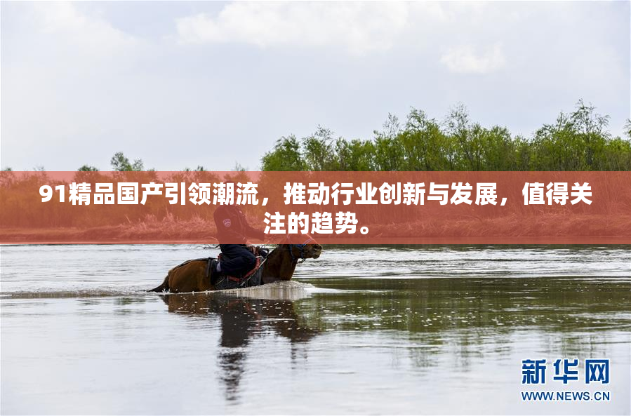 91精品国产引领潮流，推动行业创新与发展，值得关注的趋势。