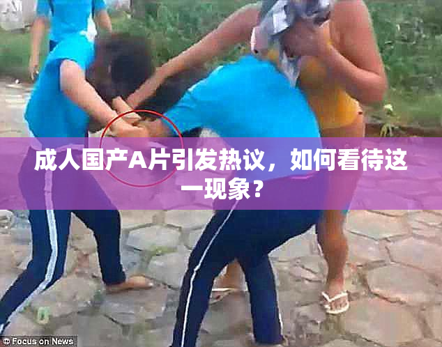 成人国产A片引发热议，如何看待这一现象？