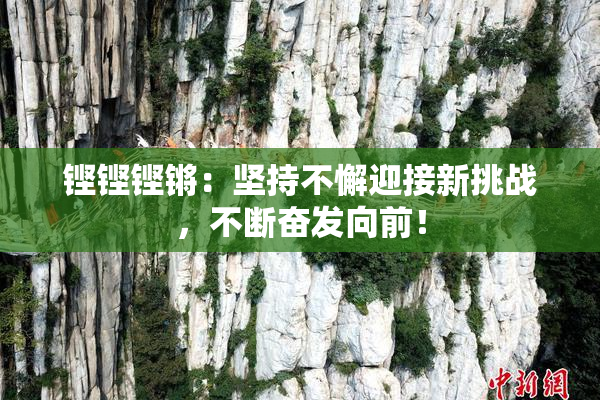 铿铿铿锵：坚持不懈迎接新挑战，不断奋发向前！