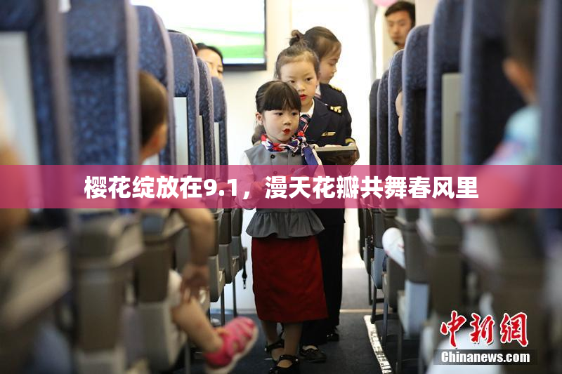 樱花绽放在9.1，漫天花瓣共舞春风里