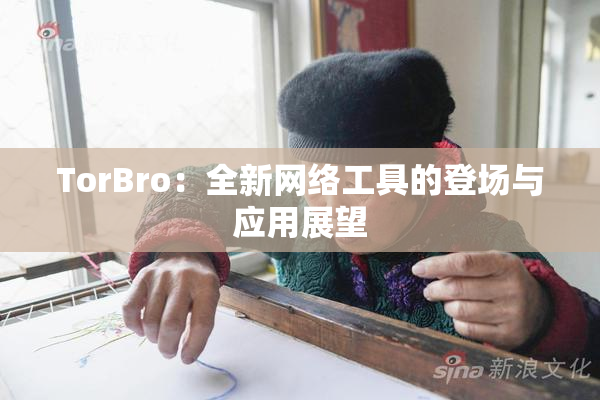 TorBro：全新网络工具的登场与应用展望
